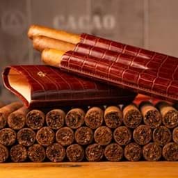 Bild für Kategorie Zigarrenetuis